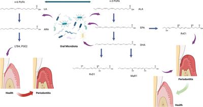 Roles of specialized pro-resolving mediators and omega-3 polyunsaturated fatty acids in periodontal inflammation and impact on oral microbiota